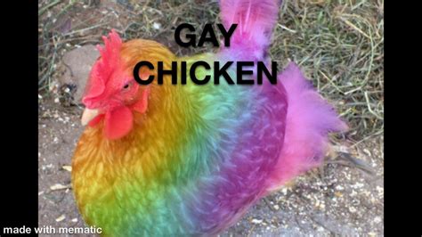 gay chicken meaning|gay chicken .